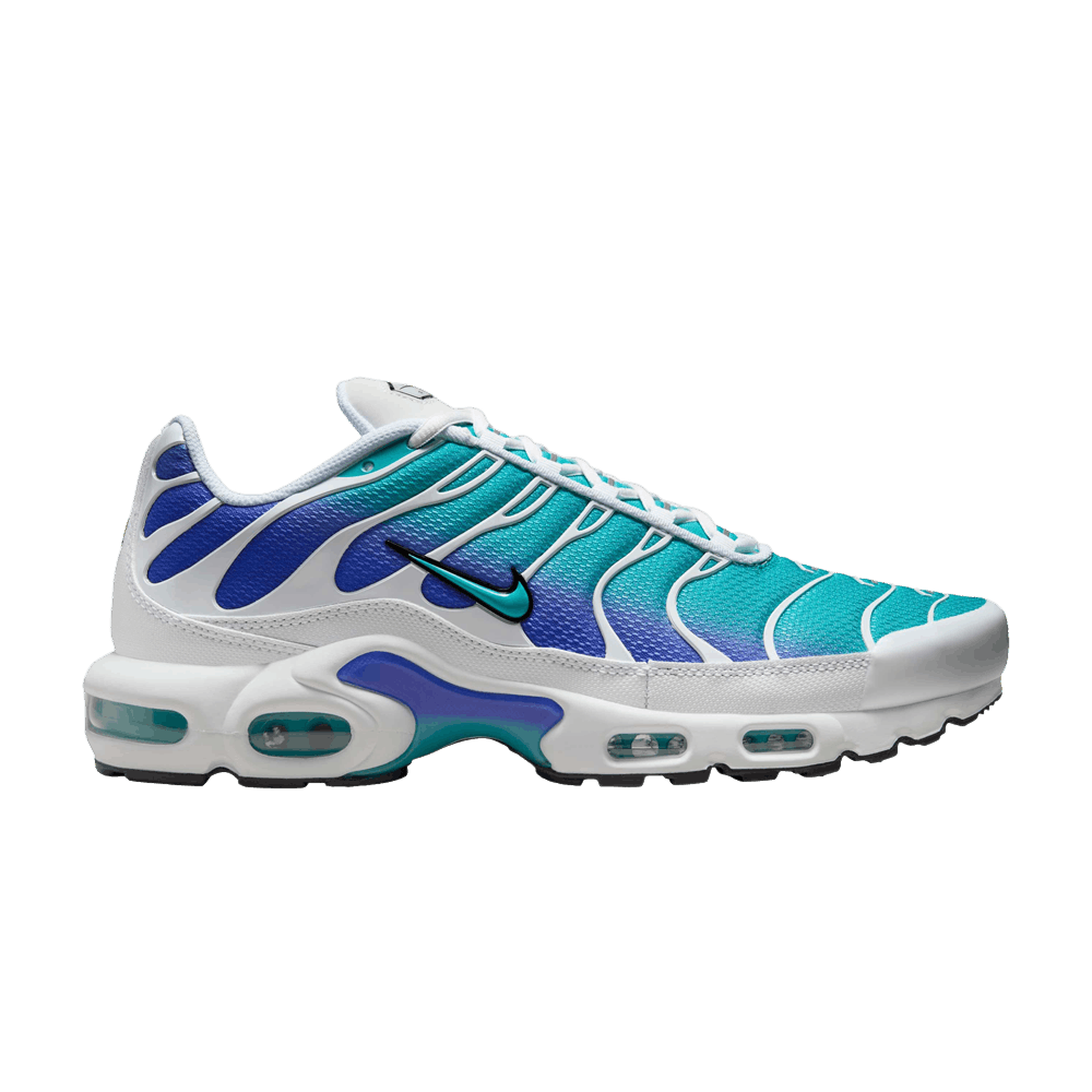 Nike Air Max Plus Aqua