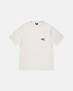 BASIC STÜSSY TEE PIGMENT DYED