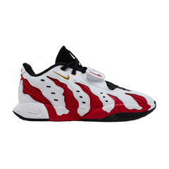 Nike LeBron 21 Prime 96