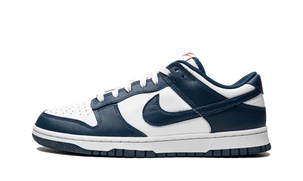 Nike Dunk Low Valerian Blue