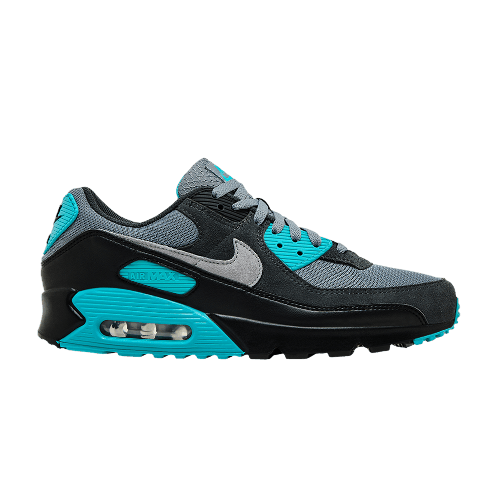 Nike Air Max 90 Cool Grey Dusty Cactus Black Wolf Grey