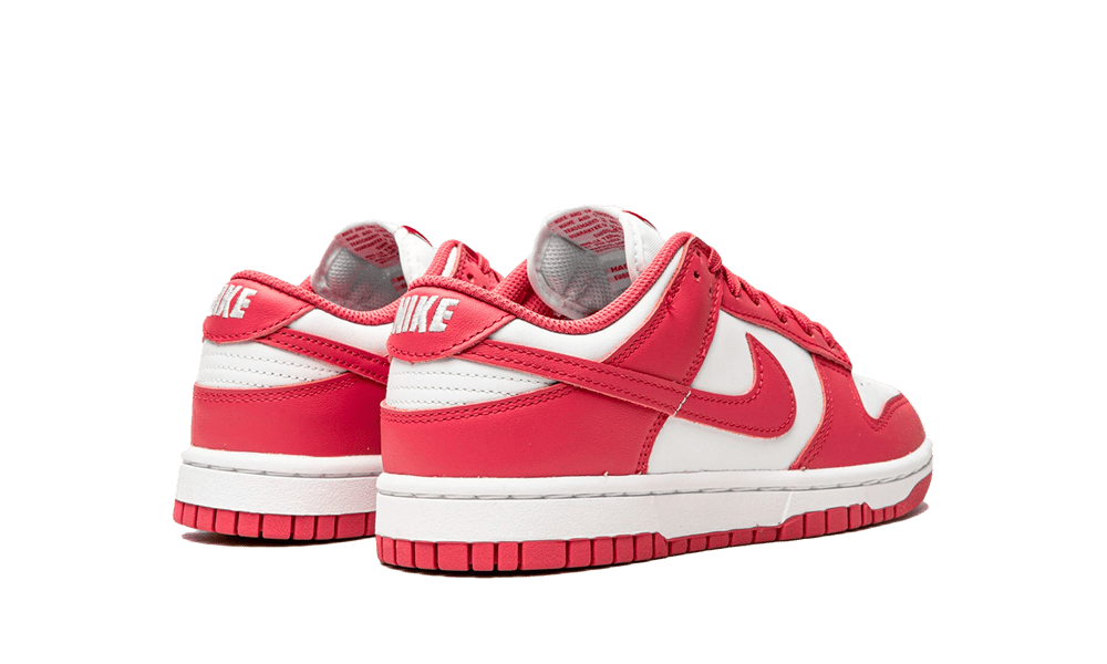 Nike Dunk Low Archeo Pink (W)